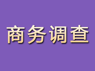 浦城商务调查